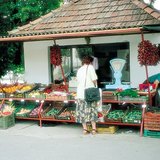 Stragan z warzywami na początku lata