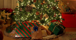 크리스마스 트리