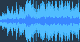 붉은부리갈매기