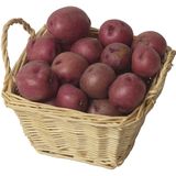 بطاطا