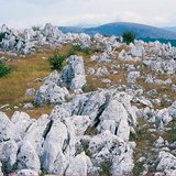 Peisaj carstic cu lapiezuri