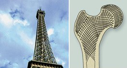 Beam structure of the Eiffel Tower and the femur
