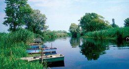 Gęsta trzcina zapewnia czystość wody wpadającej do jezior