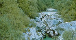 Dolina rzeki na wyżynie krasowej