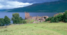 Świeża zielona łąka w klimacie oceanicznym