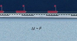 기립 자세에서 출발하는 차의 운동량 측정하기