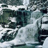 Горная речка в Татрах