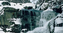 Górski potok w Tatrach