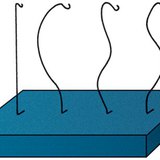 Badanie kręgosłupa