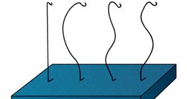 Examination of the spine