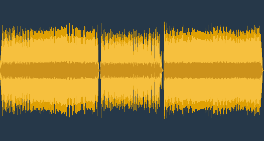 요한 세바스찬 바흐: 하프시코드 콘체르토 No. 2, 사음