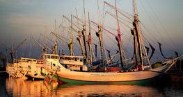 Skunery w Indonezji