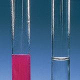 Calcium and copper reaction with water