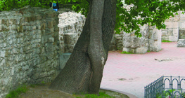 木を織り交ぜる