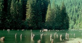Озеро Лаку-Рошу (о. Красное, «Убийца»), Румыния