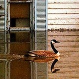 Fényvisszaverődés