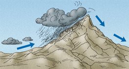 Wietrzniejsze zbocza gór mają bardziej wilgotny klimat