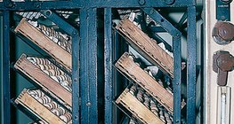 부란기 안의 달걀