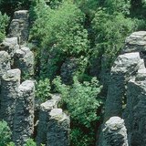  A Szent György-hegy bazaltorgonái