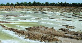 Złogi soli w miejscu wyparowania okresowych jezior