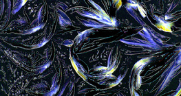 글리신 (아미노산)의 결정체