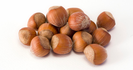 Hazelnut