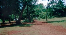 멕시코의 적색토