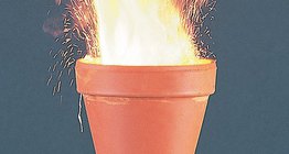 산화 환원 반응