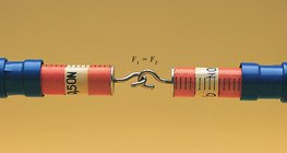 Podczas rozciągania dwie skale sprężynowe wykazują jednakową siłę