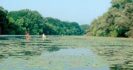 티사 강의 후미