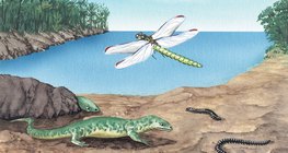 Flora i fauna okresu karbońskiego