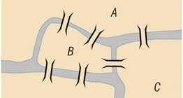 Семь мостов Калининграда (ранее Кёнигсберга)