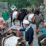 "Postój taksówek" na wyspie Rodos
