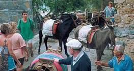 "Postój taksówek" na wyspie Rodos