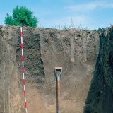 مقطع تربة شرنوزم