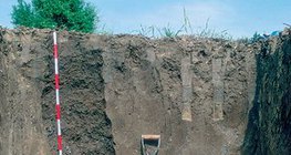 Почвенный профиль чернозёма