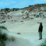 Sand dunes on the Baltic coast