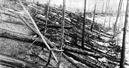 Skutki katastrofy tunguskiej z 1908 r.