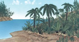 Flora okresu jurajskiego