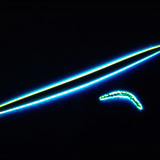 海绵骨针 - 微晶和巨核（湖生海绵）