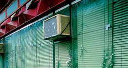 Rośliny rosnące między kamieniami, kawałkami betonu