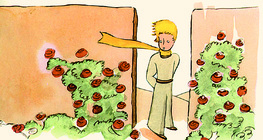 Mały Książę i róże