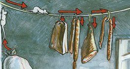 Жизнь домовой мыши в кладовой