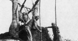 Żuraw studzienny (shadoof) umożliwiający wydobywanie wody ze studni w Egipcie