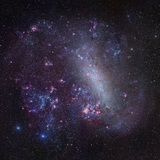 The Large Magellanic Cloud