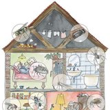 居民住宅可以为很多爬行生物提供生存空间