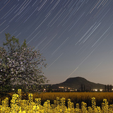 Star trails
