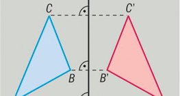 축을 지정하여 반사