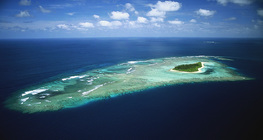 태평양의 어떤 섬