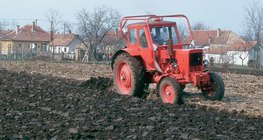 Orka na Wielkiej Nizinie Węgierskiej